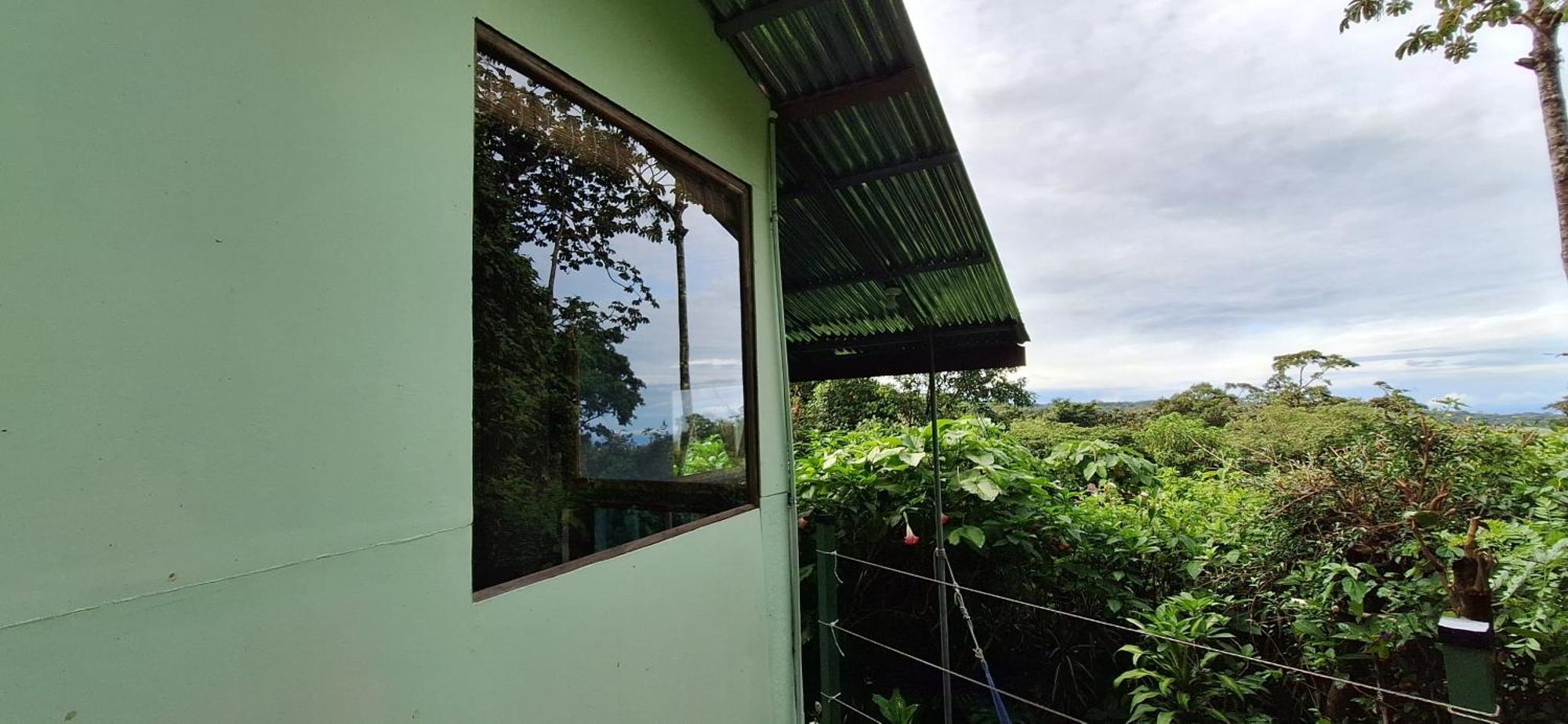 Monteverde Cecropia Paradise Oda fotoğraf