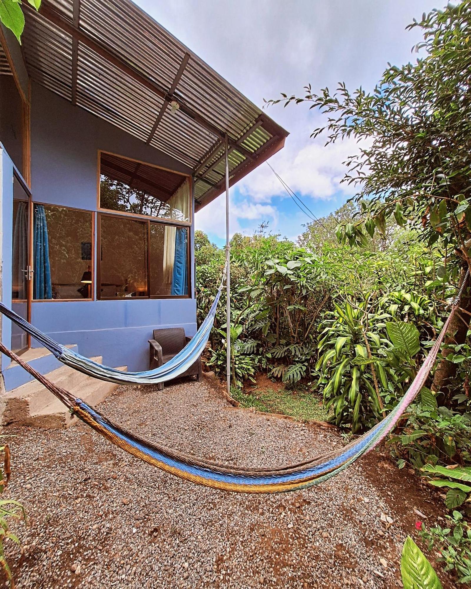 Monteverde Cecropia Paradise Oda fotoğraf