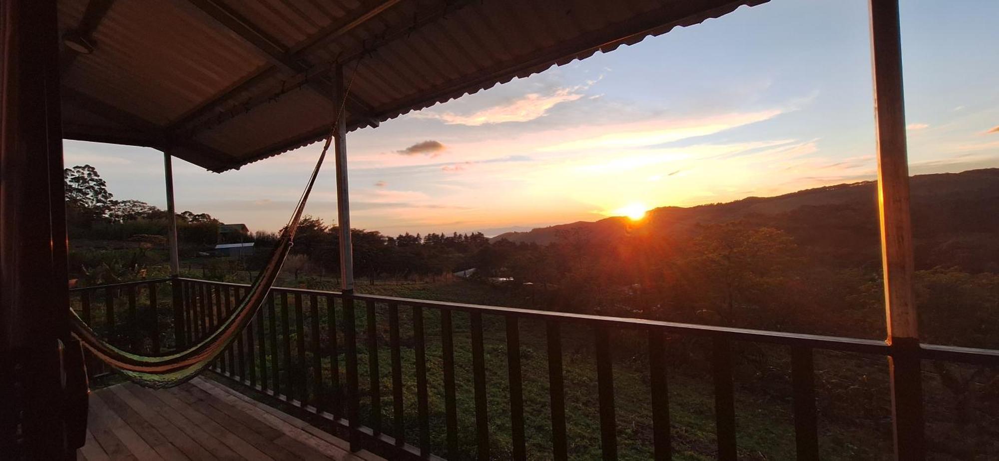 Monteverde Cecropia Paradise Dış mekan fotoğraf