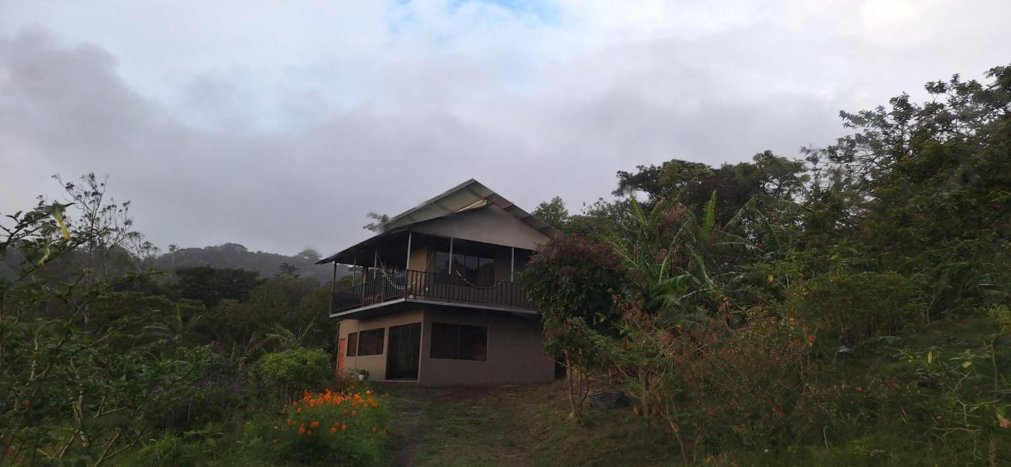 Monteverde Cecropia Paradise Dış mekan fotoğraf
